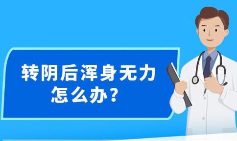 新澳精准资料免费提供生肖版,警惕虚假预测，远离新澳精准资料生肖版犯罪陷阱