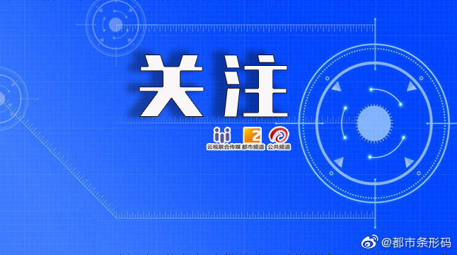 正版挂牌资料全篇100%,正版挂牌资料全篇100%的保障与重要性