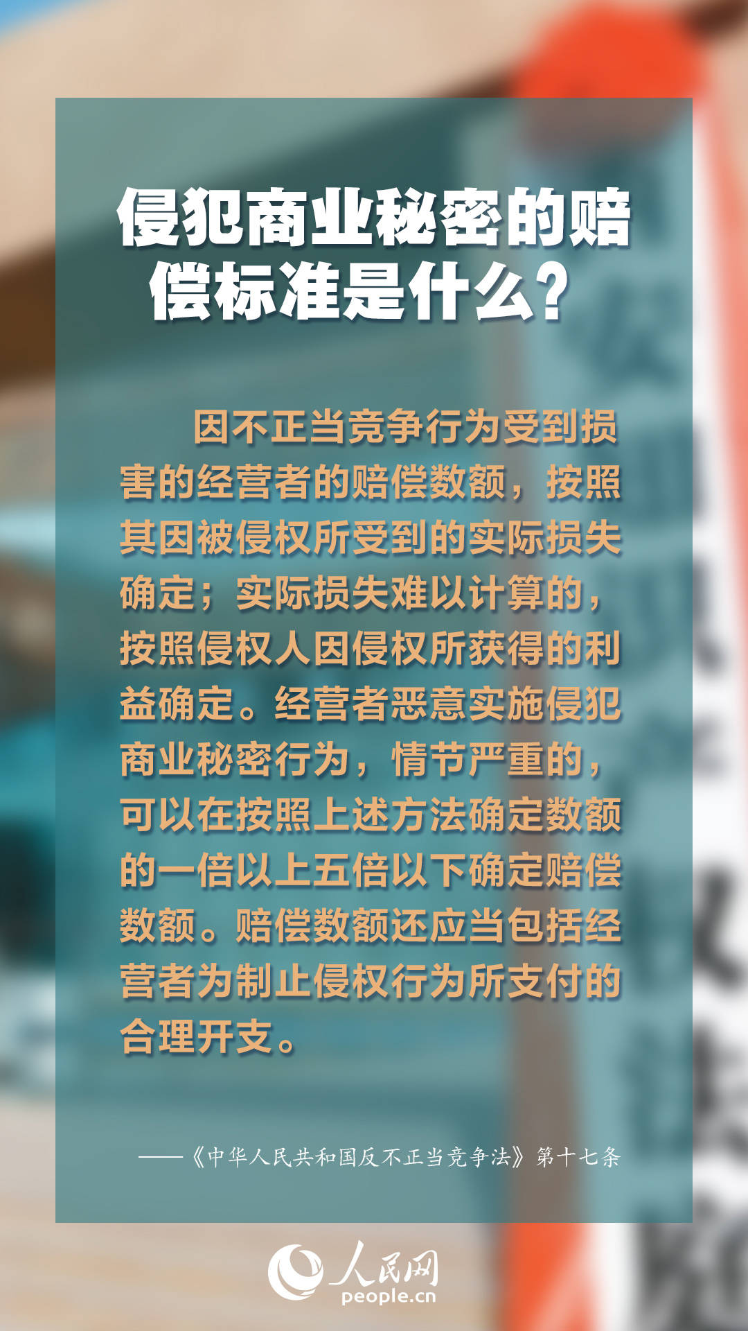 2024全年資料免費,迈向知识自由的新纪元，2024全年資料免費的展望与实践