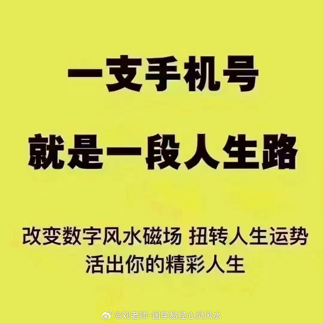 777778888精准跑狗,揭秘精准跑狗，探寻数字背后的故事——以77777与88888的启示