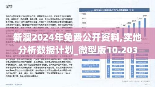 2025新澳兔费资料琴棋095期 06-19-32-45-46-48T：19,探索新澳琴棋资料，2025年琴棋系列第095期之奥秘解析与回顾（关键词，免费资料、特定号码解析）